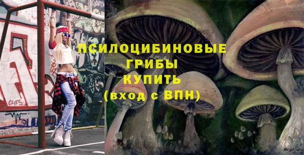 дживик Вяземский