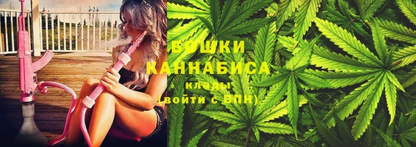 метадон Заводоуковск