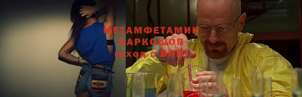 шишки Заволжье