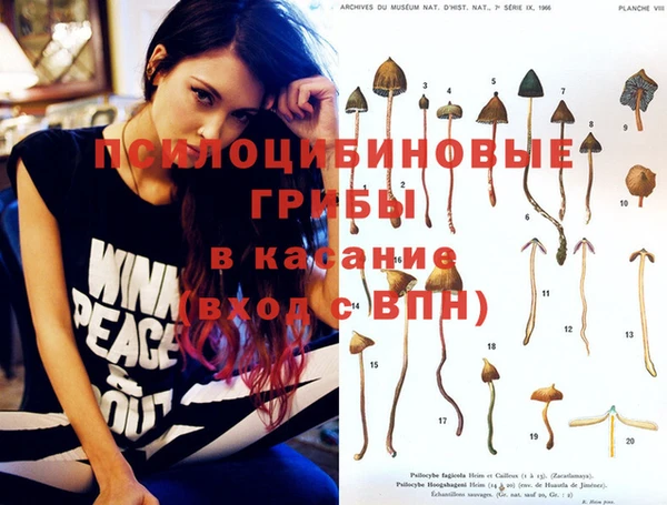 хмурый Вязники