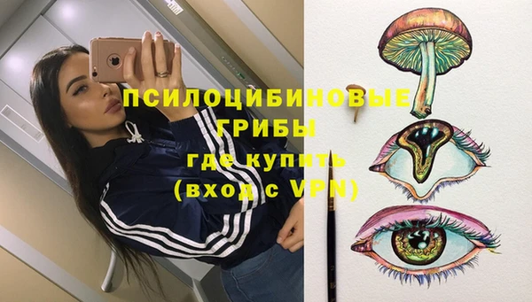 хмурый Вязники