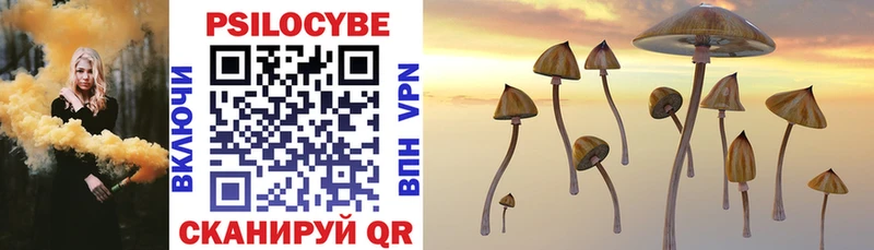 где продают   Кириллов  Псилоцибиновые грибы Psilocybine cubensis 